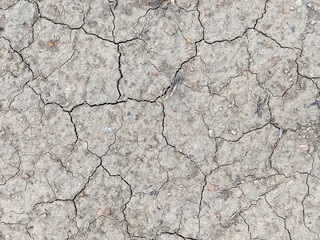 Fototapeta premium top view. dry soil surface texture background