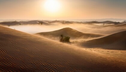 Blowing sand and fog creating a surreal landscape at sunrise in the desert