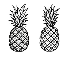 Black and white illustration of two pineapples featuring intricate details. cut out,isolated, transparent background