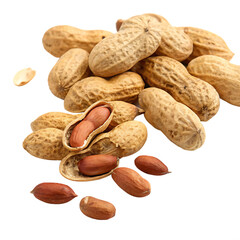 Obraz premium peanuts on white background isolated