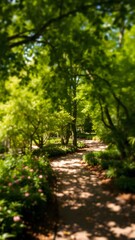 Obraz premium Tranquil Garden Pathway