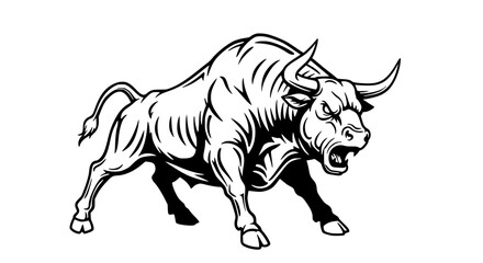 Fototapeta premium Aggressive bull charging forward, black and white, with sharp horns, isolated