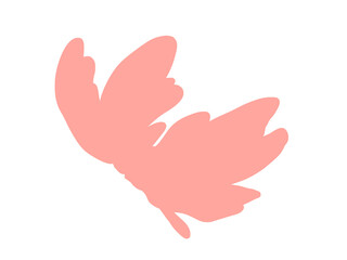 hand drawn illustration of flower pink