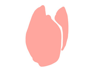 hand drawn illustration of flower pink