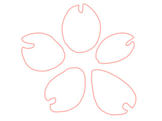 hand drawn illustration of flower pink