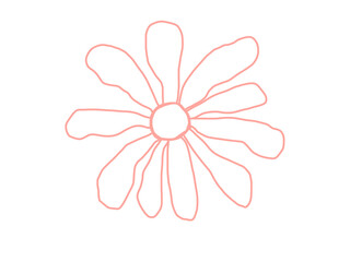 hand drawn illustration of flower pink