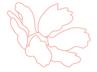 hand drawn illustration of flower pink