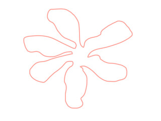 hand drawn illustration of flower pink