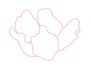hand drawn illustration of flower pink