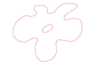 hand drawn illustration of flower pink