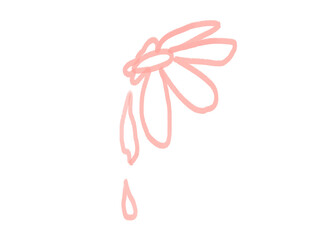 hand drawn illustration of flower pink