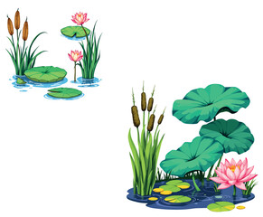 Pink water lilies and cattails growing in pond