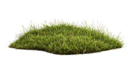 Patchy lawn with dry grass spots on transparent background png format with copy space