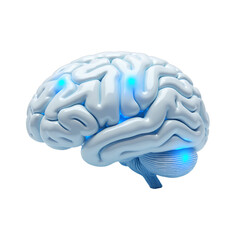 Brain Activity: White Anatomical Model with Blue Highlights, transparent background.