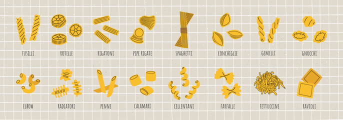 Big collection of various pasta types. Vector illustration of Italian macaroni in cartoon style with outlines on cute light background.