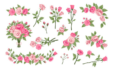 Cartoon gentle pink roses. Beautiful flowers, romantic wedding decor, corners, borders, bouquets nature composition, beautiful floral design elements, botanical frame, isolated tidy vector set