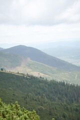 Obraz premium Green needle forest mountains with bright clouds, High Tatra National Park, Slovakia