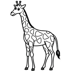 giraffe isolated on white background