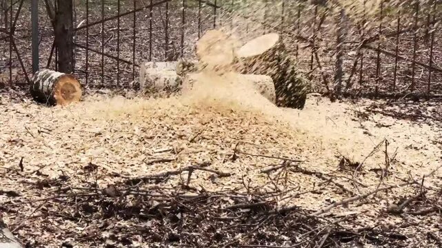 branch shredding, flying wood chips