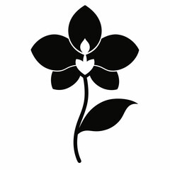 orchid flower vector illustration
