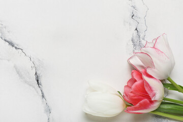 Beautiful tulip flowers on white background. Mother's Day celebration