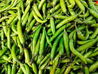A pile of green chilly open sell in Indian market.