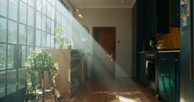 Empty, house and plants in kitchen, furniture and eco friendly with sunlight, window and real estate. Apartment, interior design and property with decor in morning, rental and architecture of home