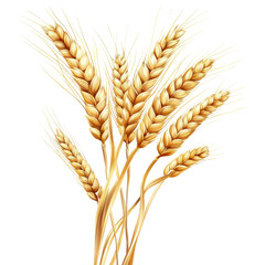 Golden Wheat Stalks: Nature's Bounty in Full Bloom