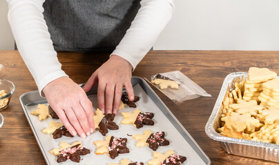 Festive Cookie Packaging with Chocolate-Dipped Christmas Delights