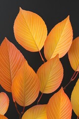 Obraz premium Vibrant Autumn Leaves Closeup Nature Photography