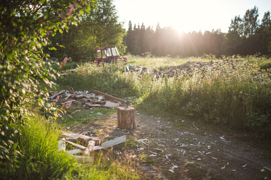 Hatchet over a tree stump near plants at field