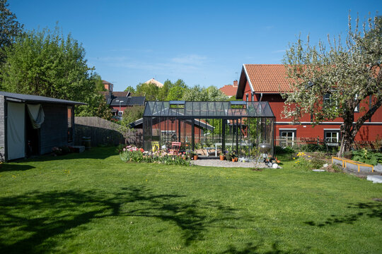 Empty garden with plants in back yard