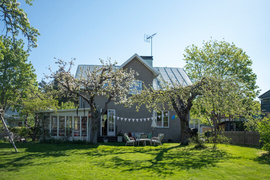 Beautiful back yard of house with trees at sunny day