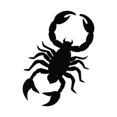 scorpion vector silhouette on white background