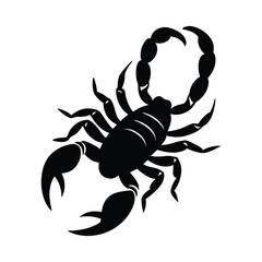scorpion vector silhouette on white background
