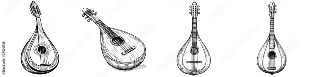 Poster various styles of string instruments showcasing craftsmanship and design from different angles in bl