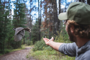 Man reaching at bird flapping wings in forest