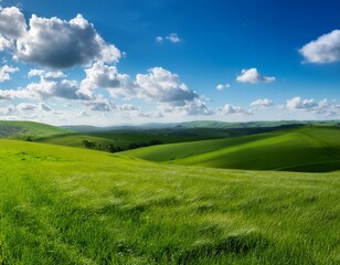 Obraz premium A serene landscape of vibrant green meadows under a vast blue sky dotted with fluffy white