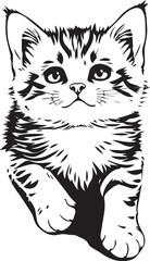 Cute kitten. Hand drawn vector illustration
