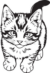 Cute kitten. Hand drawn vector illustration