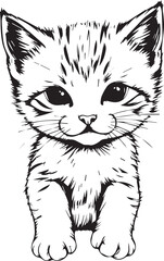 Cute kitten. Hand drawn vector illustration