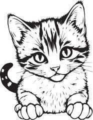 Obraz premium Cute kitten. Hand drawn vector illustration