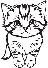 Cute kitten. Hand drawn vector illustration
