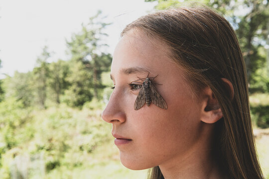 Hawk moth sitting on girl's face near eyes