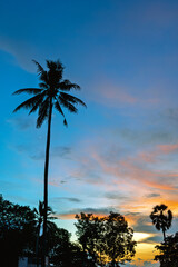 南国の夕暮れ、ヤシの木とカラフルな空