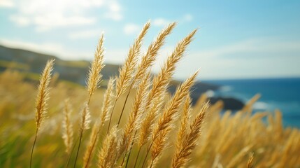 Fototapeta premium Grass swaying in the wind, capturing the beauty of nature