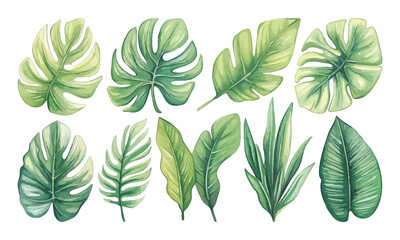 Fototapeta premium Set of watercolor leaf collection hand drawn design vector element. botanical set of tropical foliage branch for wedding poster invitation design element