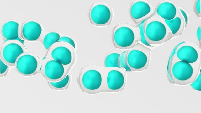 Fluid Organic Shapes on White Background Clean Loop Animation