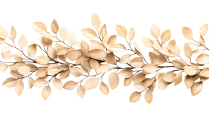 Elegant beige leaves branch for decoration and background, cut out transparent