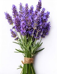 Fototapeta premium Lavender bundle tightly bound with twine, displaying aromatic purple blooms against pristine white background, highlighting natural herbal beauty
